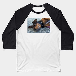 portrait of a pet puppy Baseball T-Shirt